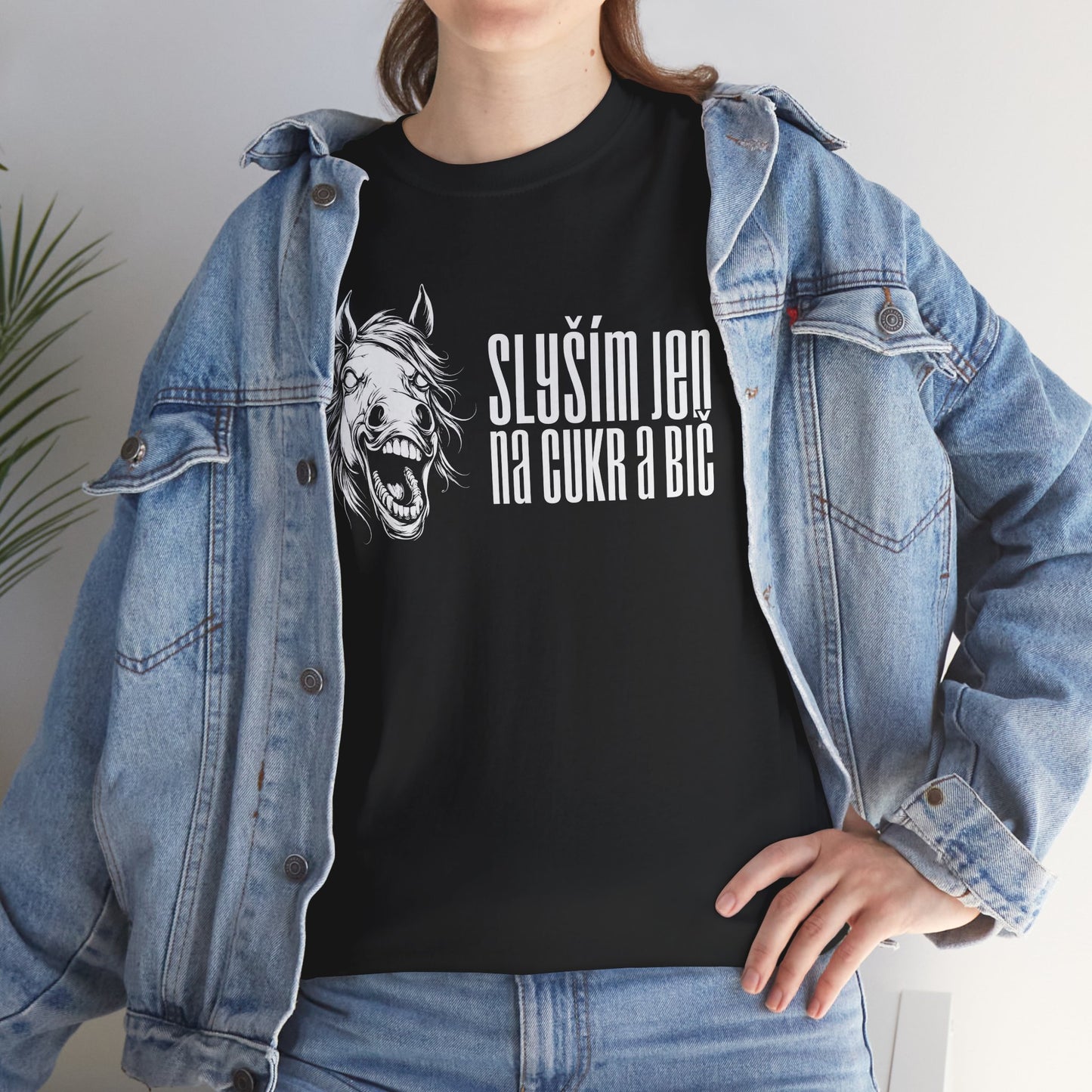 Unisex triko pro milovníky ponyplay - Slyším jen na cukr a bič bílé